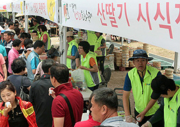장기산딸기축제