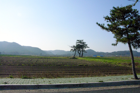 황보 인의 후손이 맥을 이어내린 은둔처 집성골 주변의 산세
