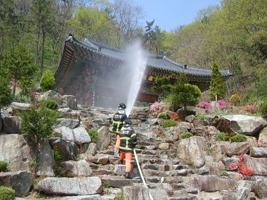 기사사진