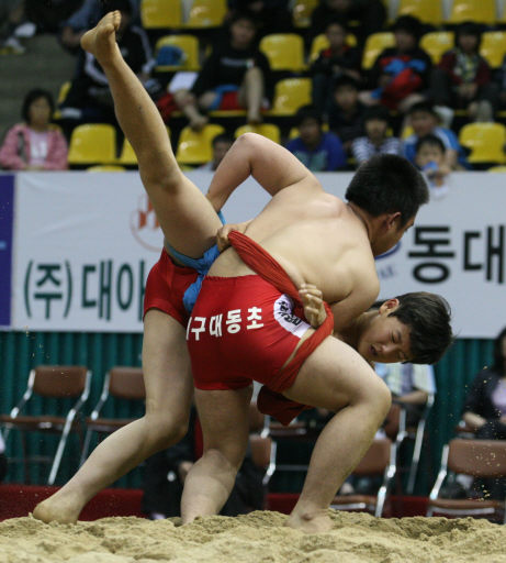 기사사진