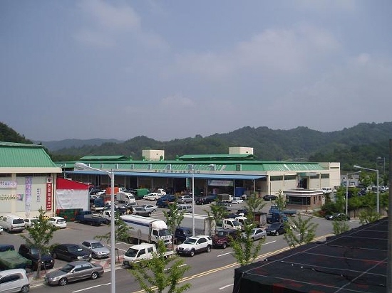 기사사진