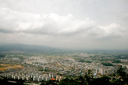 기사사진