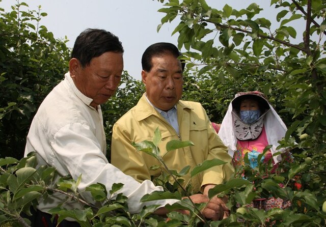 기사사진