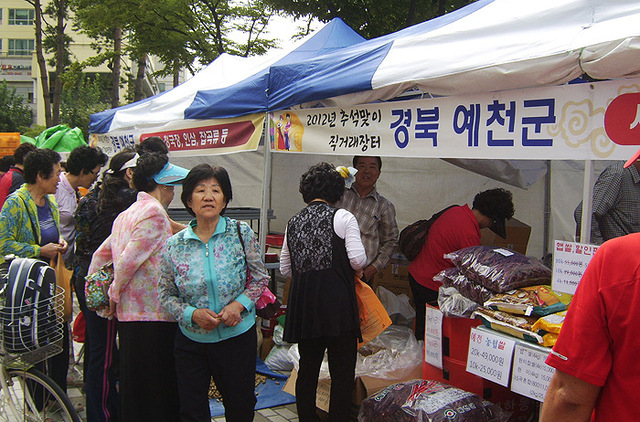기사사진