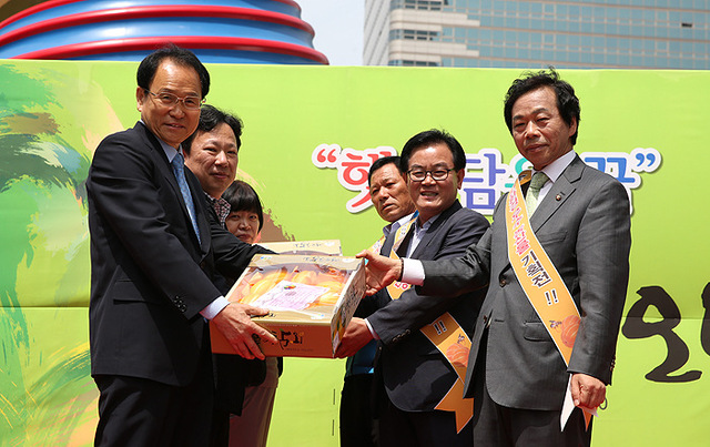 기사사진