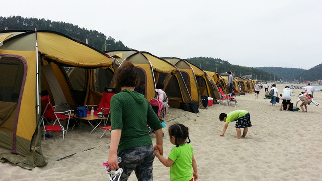 ▲ 산딸기축제 1박2일 체험관광객 야영촌.
