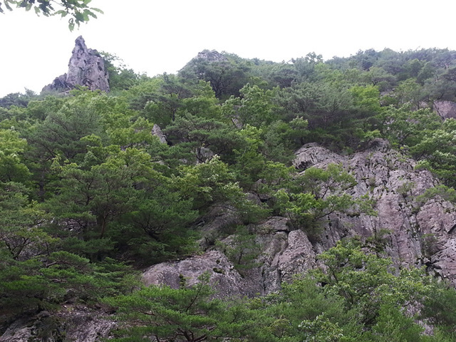 ▲ 포항 동대산 전경.