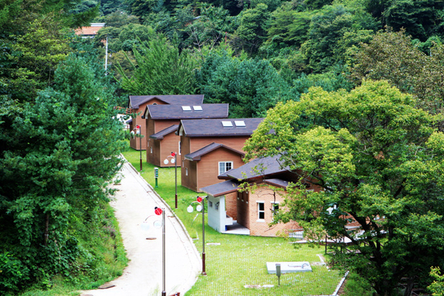 ▲ 수도산 자연휴양림