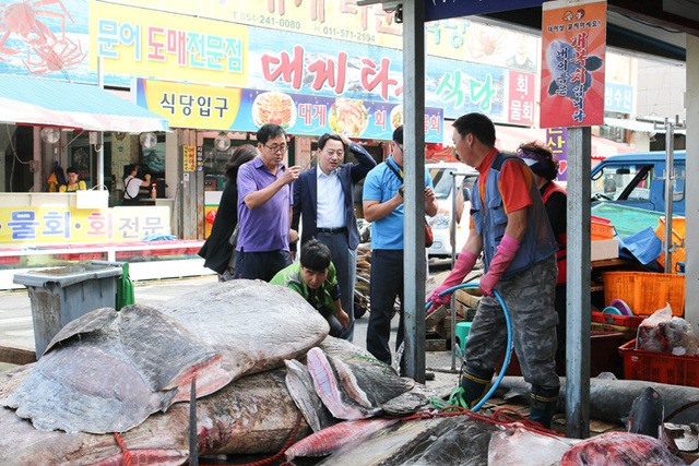 기사사진