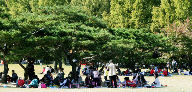 ▲ 단풍이 물들기 시작하는 나무 그늘에 옹기종기 모여 앉은 아이들이 지난 20일 구미 금오산 분수광장에서 열린`2013 경북 어린이 백일장·사생대회`에서 평소 갈고 닦은 솜씨를 뽐내고 있다. /이용선기자