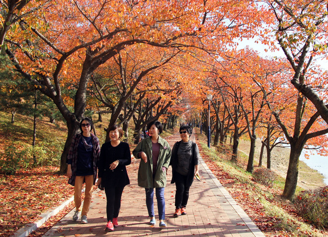 ▲ 보문단지산책로.