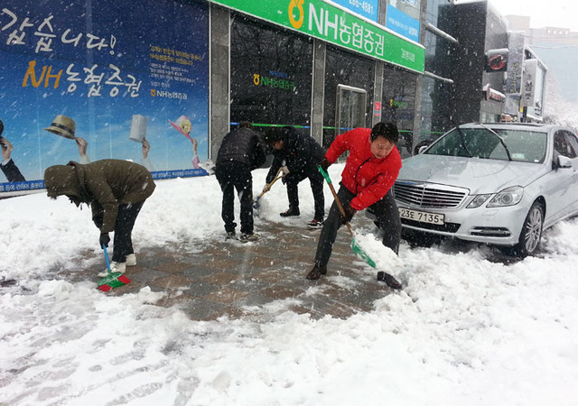 기사사진