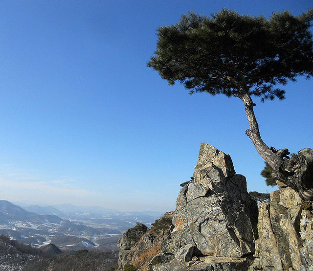 ▲ 주월산은 바위산인데 비해 박달산은 전형적인 육산이다. 지난번 내린 폭설로 잔설을 밟고 2월의 산에 오르면 신선한 감이 그대로 가슴에 담겨진다. 대자연이 펼쳐지는 공간과 시간을 갖는다는 게 더없는 기쁨이다.