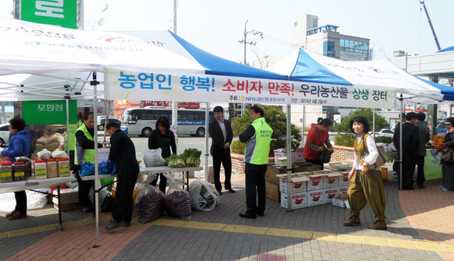기사사진