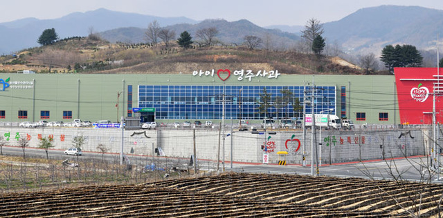 기사사진