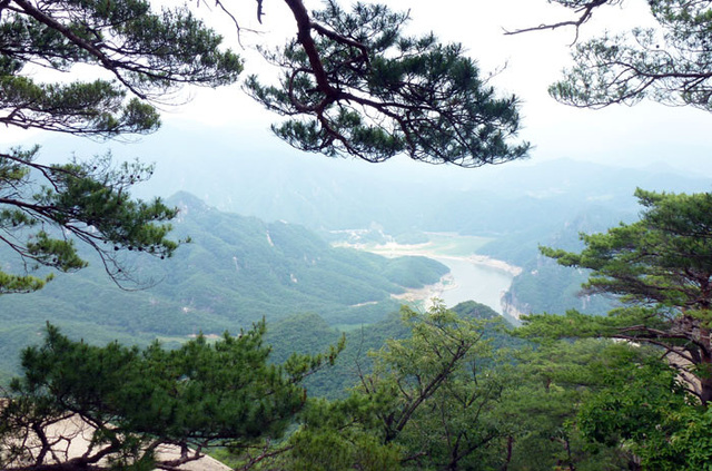 ▲ 가은산에 오르는 암릉의 길목마다 노송들이 멋진 자태를 뽐낸다.