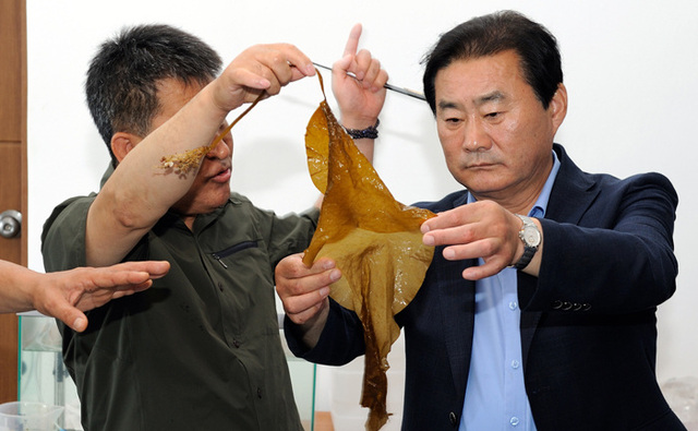 기사사진