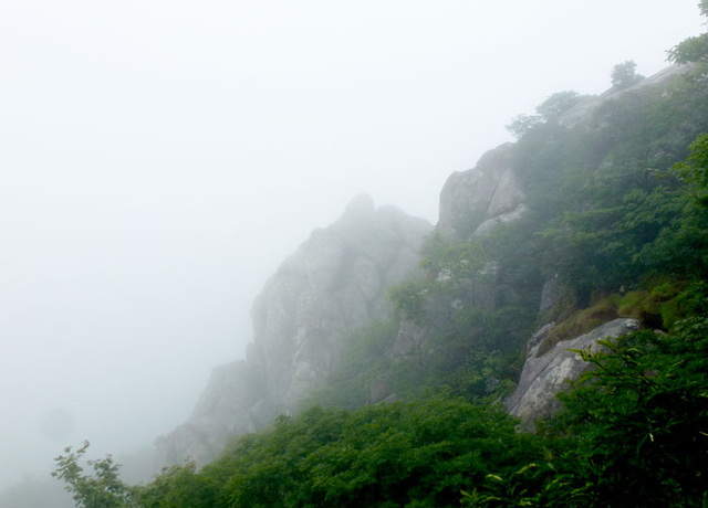 ▲ 백두대간의 끝자락으로 부산의 진산으로 불리는 금정산은 부산시민들이 즐겨 찾는 영험 있는 산이다. 필자가 홀로 등산한 금정산은 이날따라 안개에 싸여있어 신비감을 더했다.