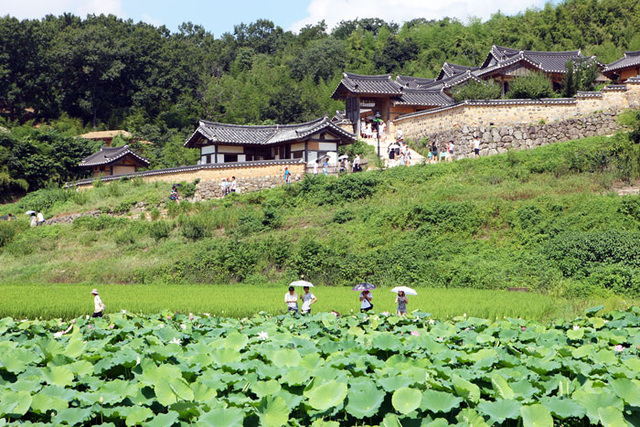 ▲ 세계문화유산으로 등재된 양동마을.