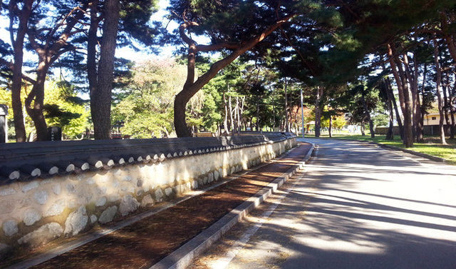 ▲ 월송정 가는 길.