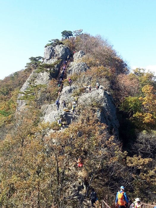 ▲ 내장산의 제1봉, 신선봉으로 향하는 철 계단.