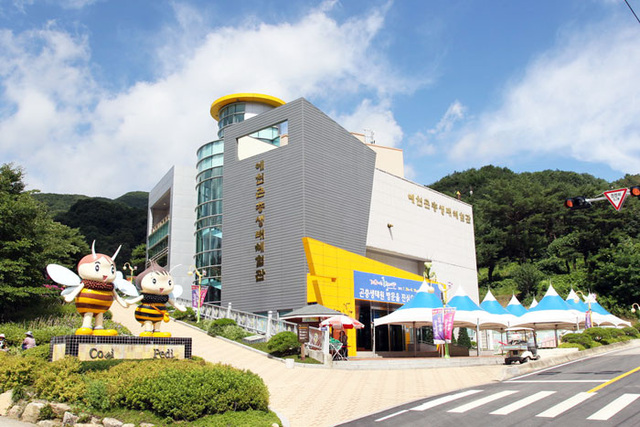 ▲ 곤충생태체험관 전경