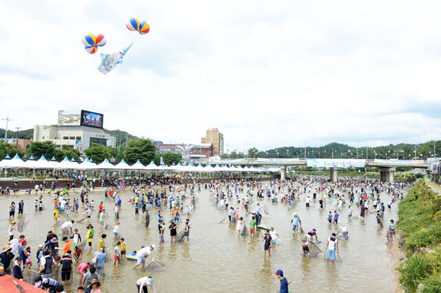 ▲ 4년간 문화체육관광부 유망축제 지정에 이어 2015 대한민국 우수축제로 선정된 봉화은어축제에서 참가자들이 반두잡이를 하며 즐기고 있는 모습.