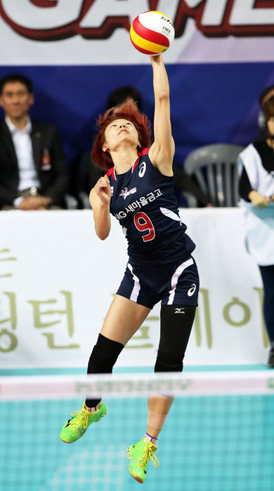 기사사진