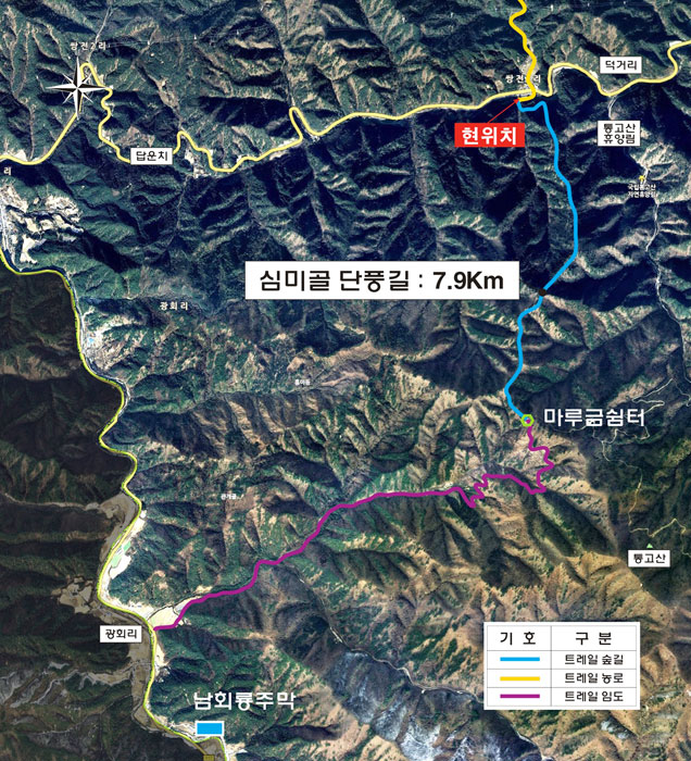 ▲ 심미골 단풍길