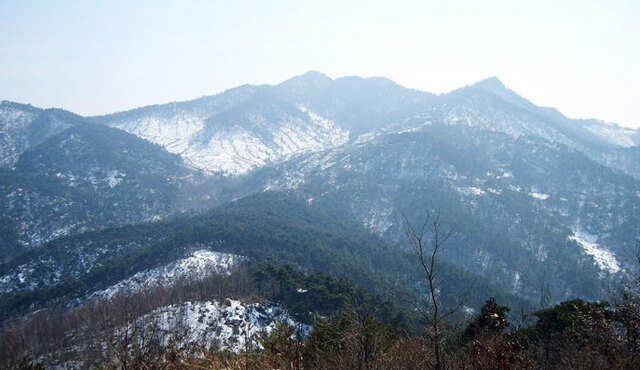 기사사진
