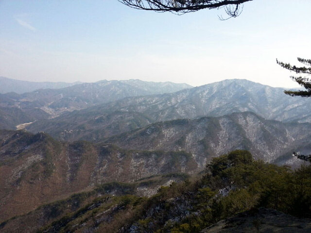 기사사진