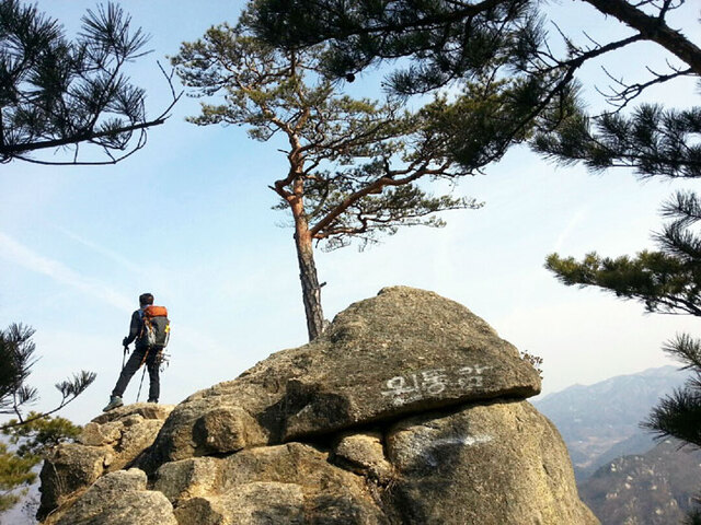 ▲ 산 아래 충북 단양군 대강면 황정리 일대의 들판에 곡식이 익어갈 때에 그 모습이 노란 정원 같아 이름 붙어진 황정산(黃庭山). 아름다운 바위산이 장관을 이루는데, 신선이 놀다 갔다고 전해진다.