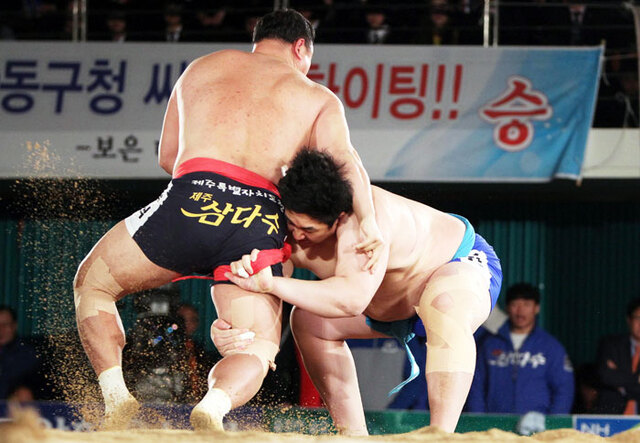 기사사진