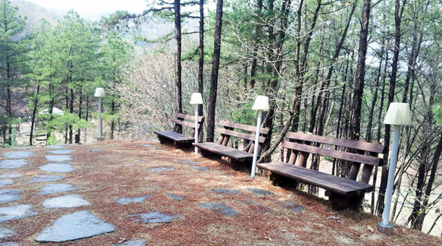 ▲ 황순원문학촌내 산책로
