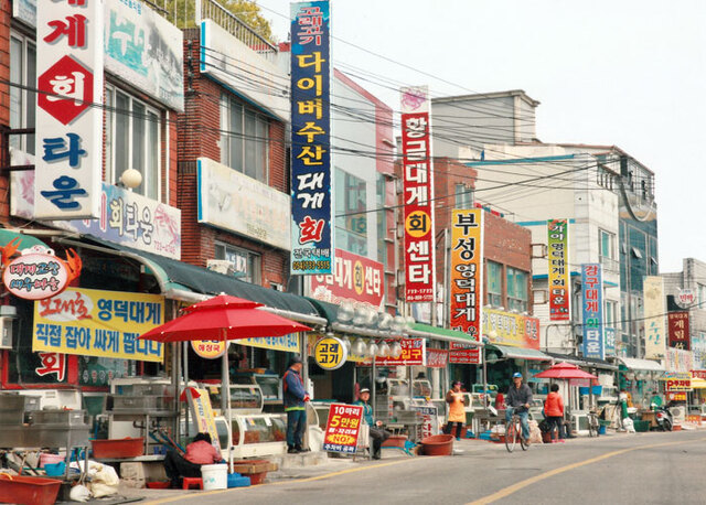 ▲ 영덕 강구항 거리에 길게 줄지어 차려진 대게 판매점들 모습.