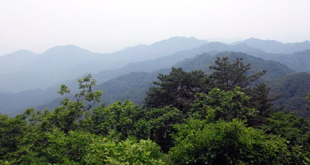 ▲ 낙동정맥의 한 지류에 있는 울진 응봉산은 태고적 신비가 숨쉬는 명산이다. 금강송 향기가 묻어나는 길을 걷고 산자락 아래 덕구온천에서 피로를 푸는 등산코스는 산행길로 안성맞춤이다.