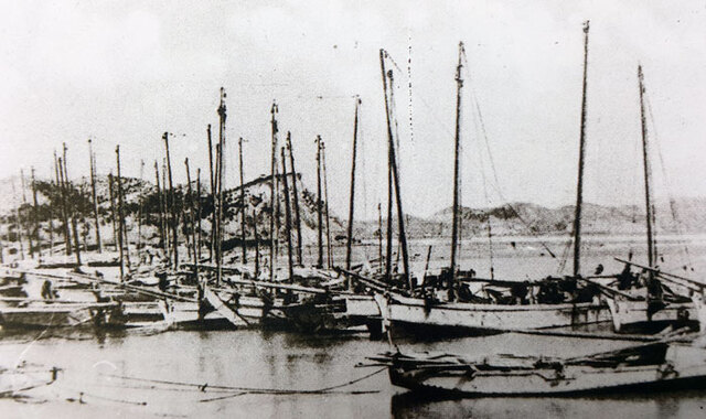 ▲ 1929년 포항 동빈내항에 정박한 황포 돛단배들의 모습.