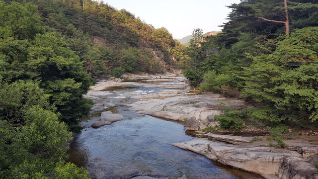 ▲ 용오름 길로 유명한 무릉계곡 모습.