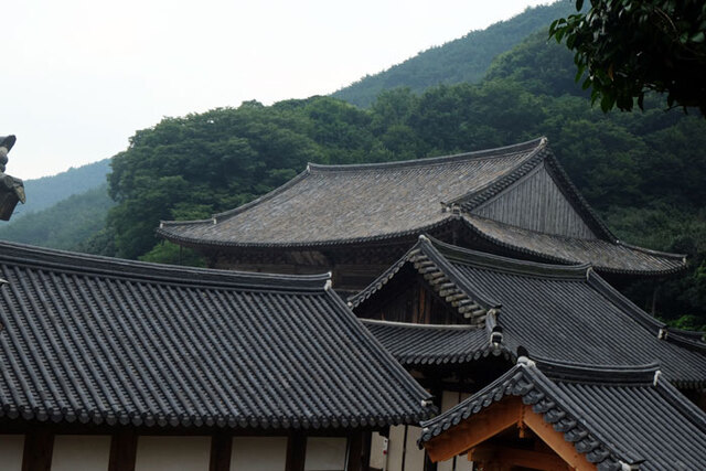 ▲ 구례 화엄사