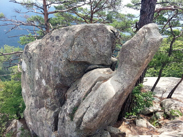 ▲ 마치 거북처럼 생긴 거북바위.