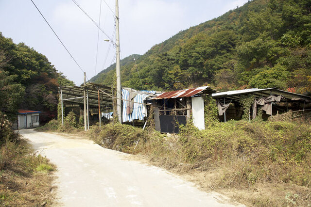 ▲ 형산강 발원지 바로 아래에 버려진 폐 축사. 발원지 계곡을 따라 축사들이 산재해 있는 것은 여전하다.