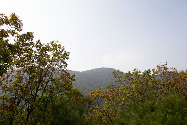 ▲ 건너편 어림산에서 바라 본 인내산. 저 자락에 작은 샘에서 쏟아 나는 물이 대천을 만들고 형산강으로 흘러 든다.