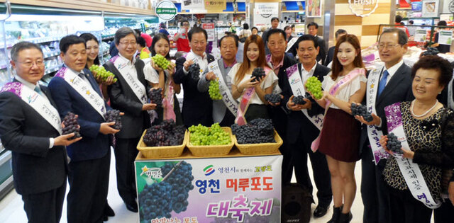 기사사진