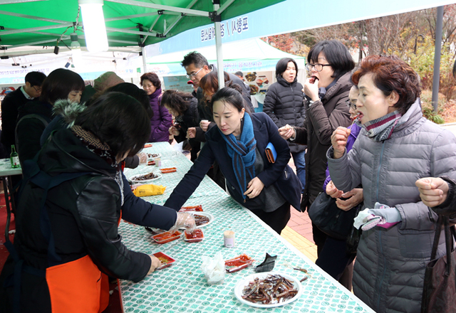 ▲ 서울 서초구청 특별행사장에서 26, 27일 양일간 열리고 있는 `2015 포항 구룡포 과메기 서울 홍보행사`를 찾은 서울시민들이 한국의 겨울철 대표 별미로 자리 잡은 과메기를 시식하고 있다.