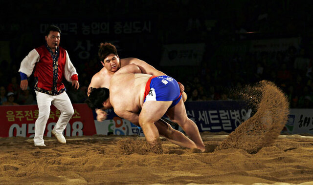기사사진