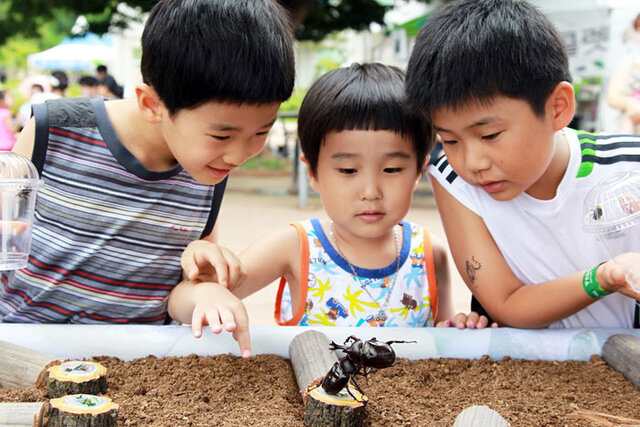 ▲ 어린이들의 곤충 체험.