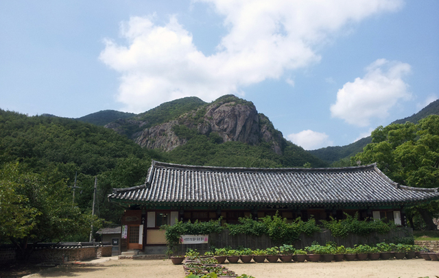 ▲ 대전사 경내에서 바라본 장군봉. 그렇게 높지 않은 산과 기와가 절묘하게 어우러져 있다. 마일송 장군이 저곳에서 활을 쏘아 기암의 한 귀퉁이의 바위를 날려버렸다고 한다. 그런 실없는 소리를 들어도 산은 대꾸하는 법 없이 고요히 머물러 인간보다 수천, 수만 배를 살아낸다.
