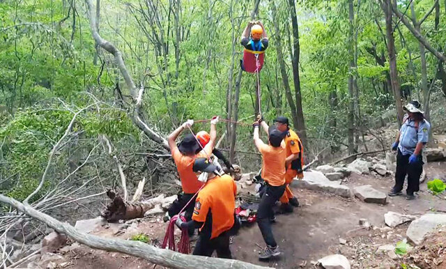 기사사진