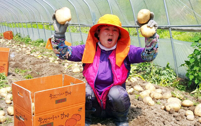 기사사진