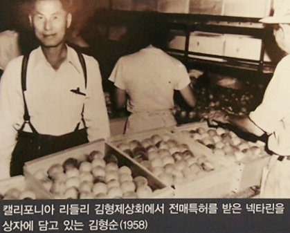 ▲ 인천 월미도의 한국이민사박물관에 전시돼 있는 김형순 관련 기념물.